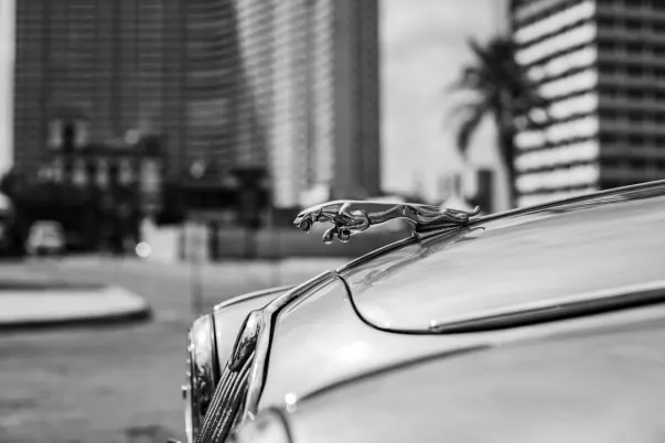 WagerWeb Kaszinó Android/iOS Alkalmazás